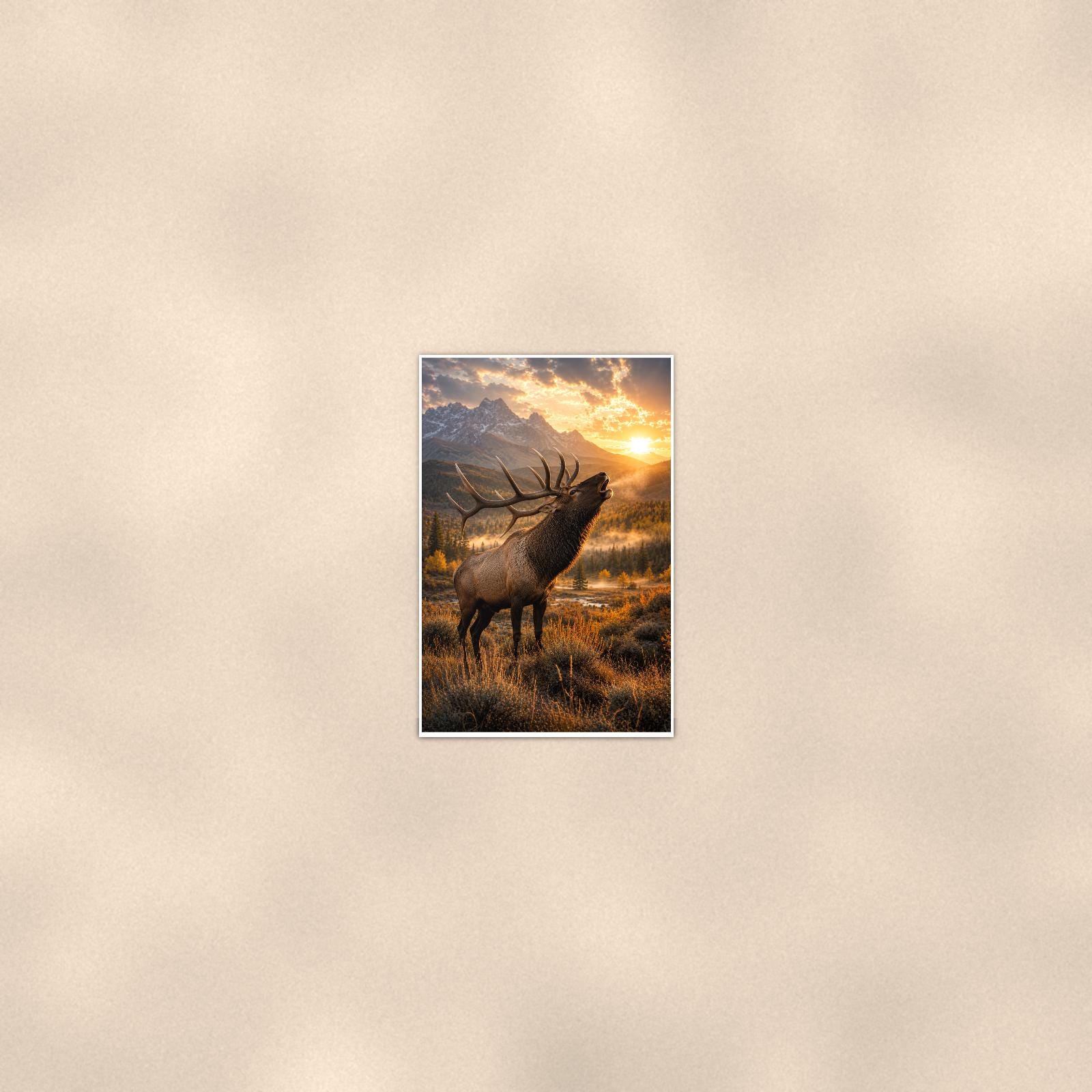 Bugling Elk Sunset — 24x36 in art print poster, premium luster paper with a white border; poster seen from further back, at true 24x36 in scale on a warm wall.
