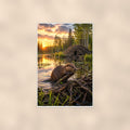 Beaver Lodge Sunset — 24x36 in art print poster, premium luster paper with a white border; poster shown straight on against a warm wall.