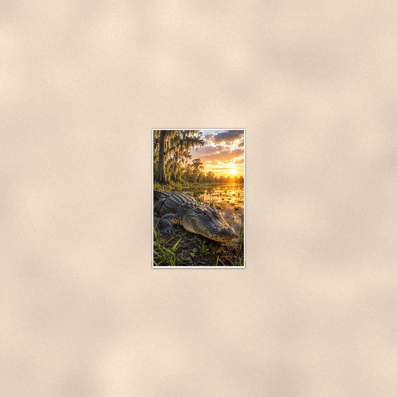 Swamp Gator Sunset — 24x36 in art print poster, premium luster paper with a white border; poster seen from further back, at true 24x36 in scale on a warm wall.