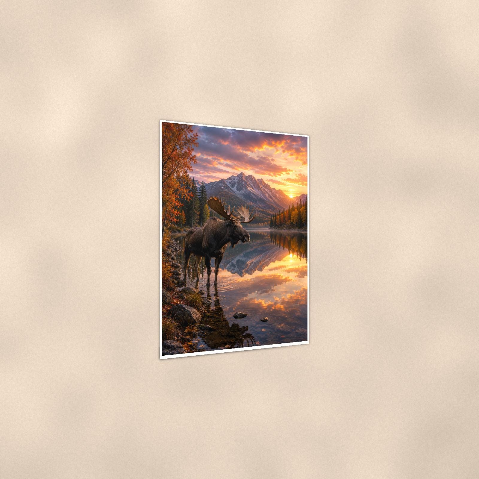 Moose Reflection — 24x36 in art print poster, premium luster paper with a white border; gentle three-quarter angle on a warm wall, showing the flat paper edge.