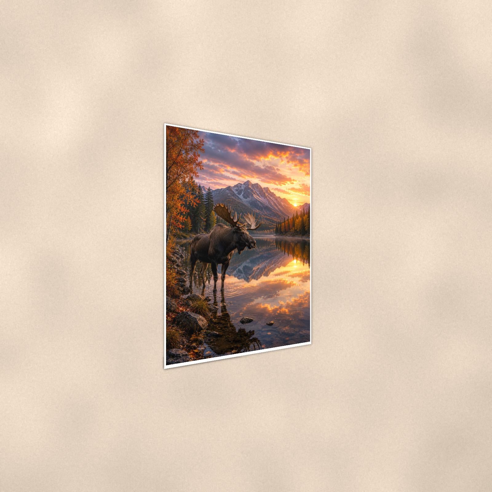 Moose Reflection — 24x36 in art print poster, premium luster paper with a white border; steeper three-quarter angle on a warm wall, catching the luster sheen.