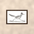 Vintage Running Roadrunner — 36x24 in art print poster, premium luster paper with a white border; poster shown straight on against a warm wall.