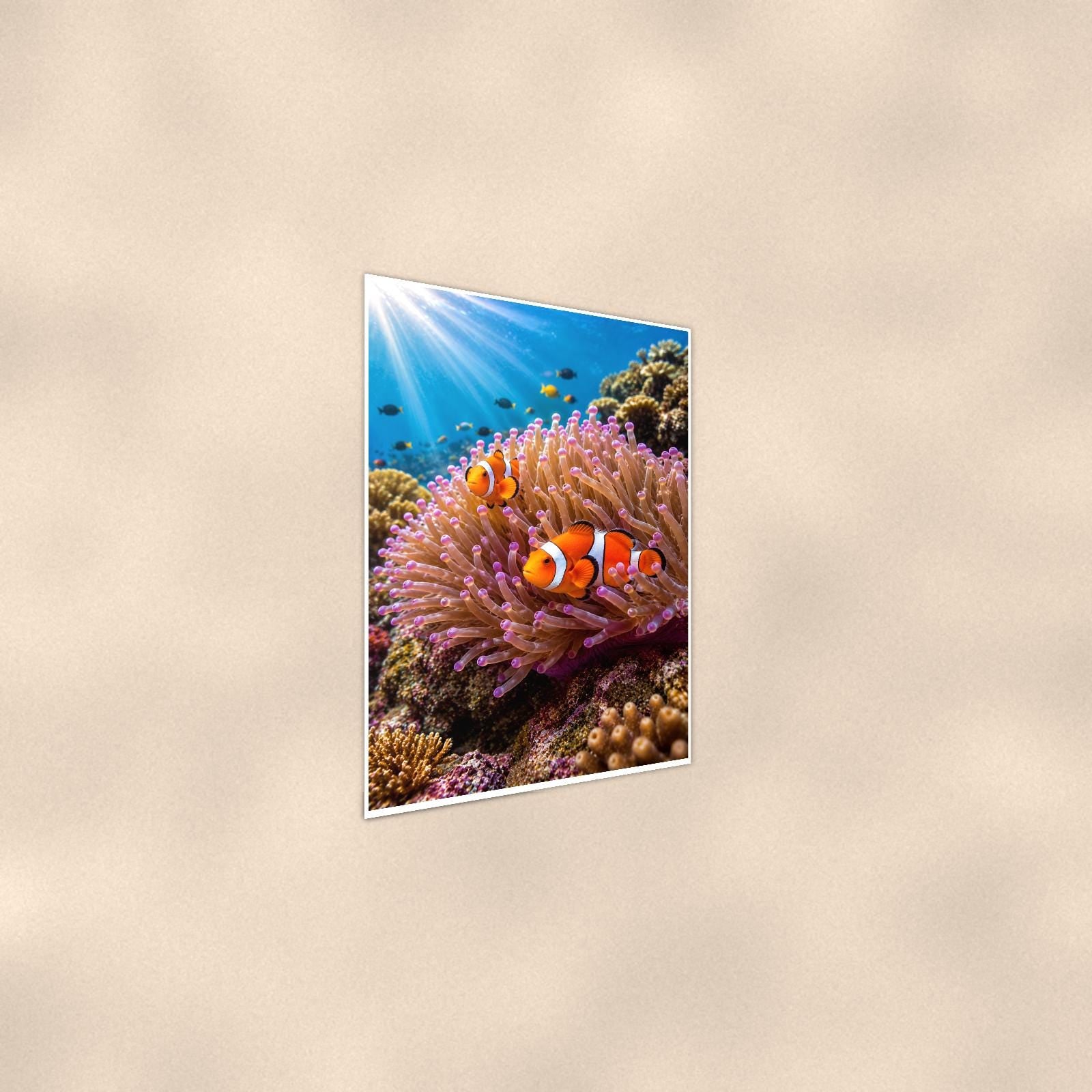 Clownfish and Anemone — 24x36 in art print poster, premium luster paper with a white border; steeper three-quarter angle on a warm wall, catching the luster sheen.