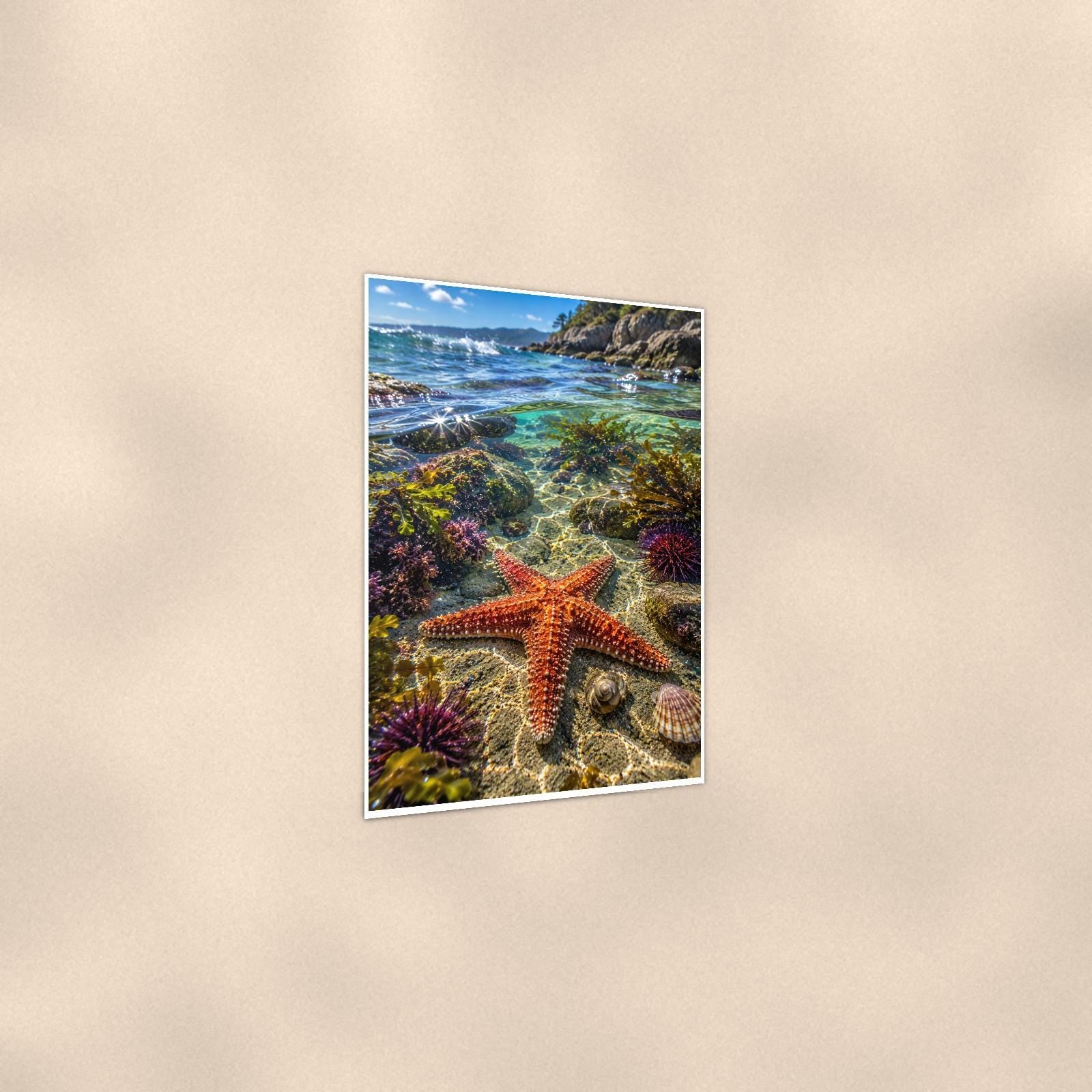 Starfish — 24x36 in art print poster, premium luster paper with a white border; gentle three-quarter angle on a warm wall, showing the flat paper edge.