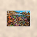 Coral Reef Scene — 36x24 in art print poster, premium luster paper with a white border; poster shown straight on against a warm wall.
