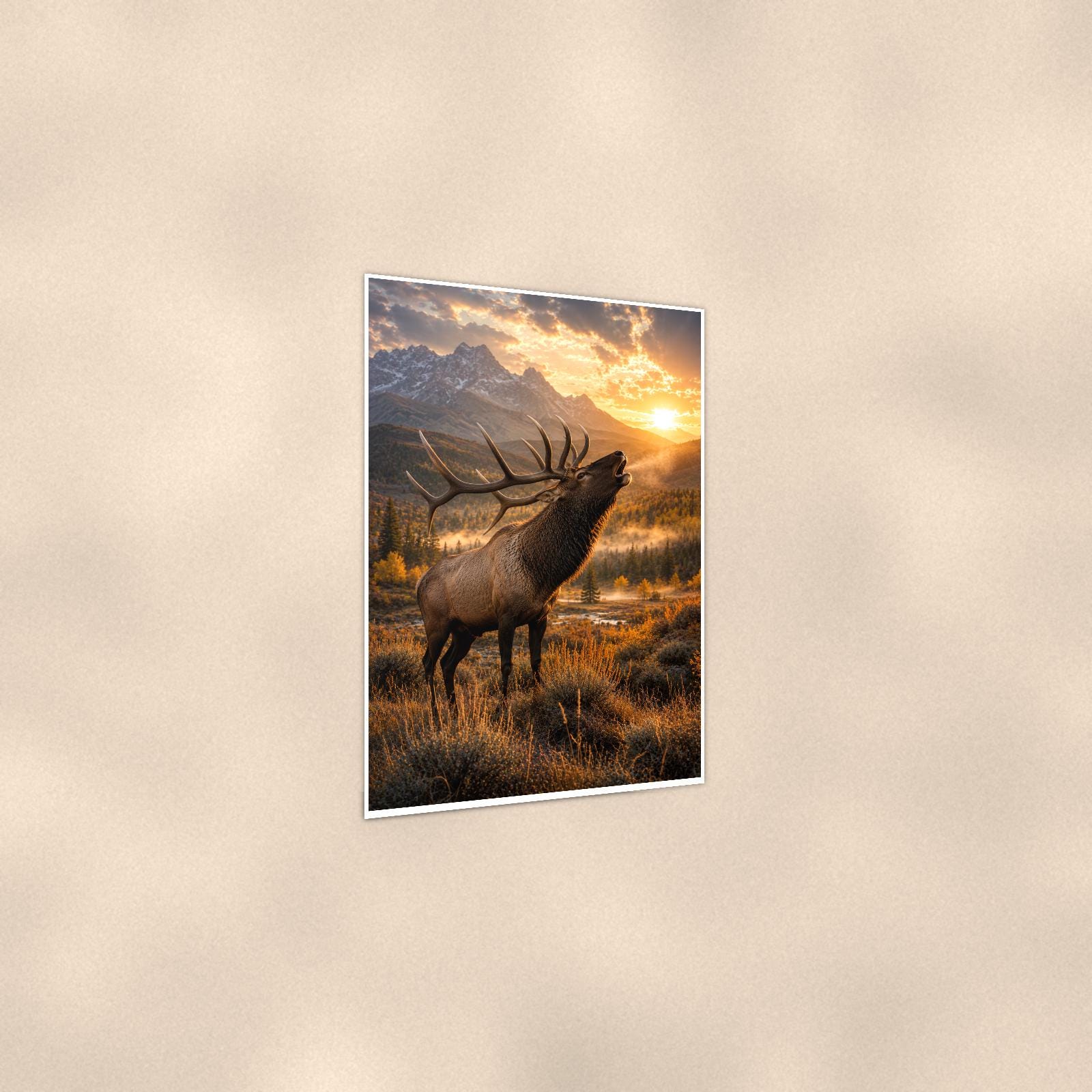 Bugling Elk Sunset — 24x36 in art print poster, premium luster paper with a white border; gentle three-quarter angle on a warm wall, showing the flat paper edge.