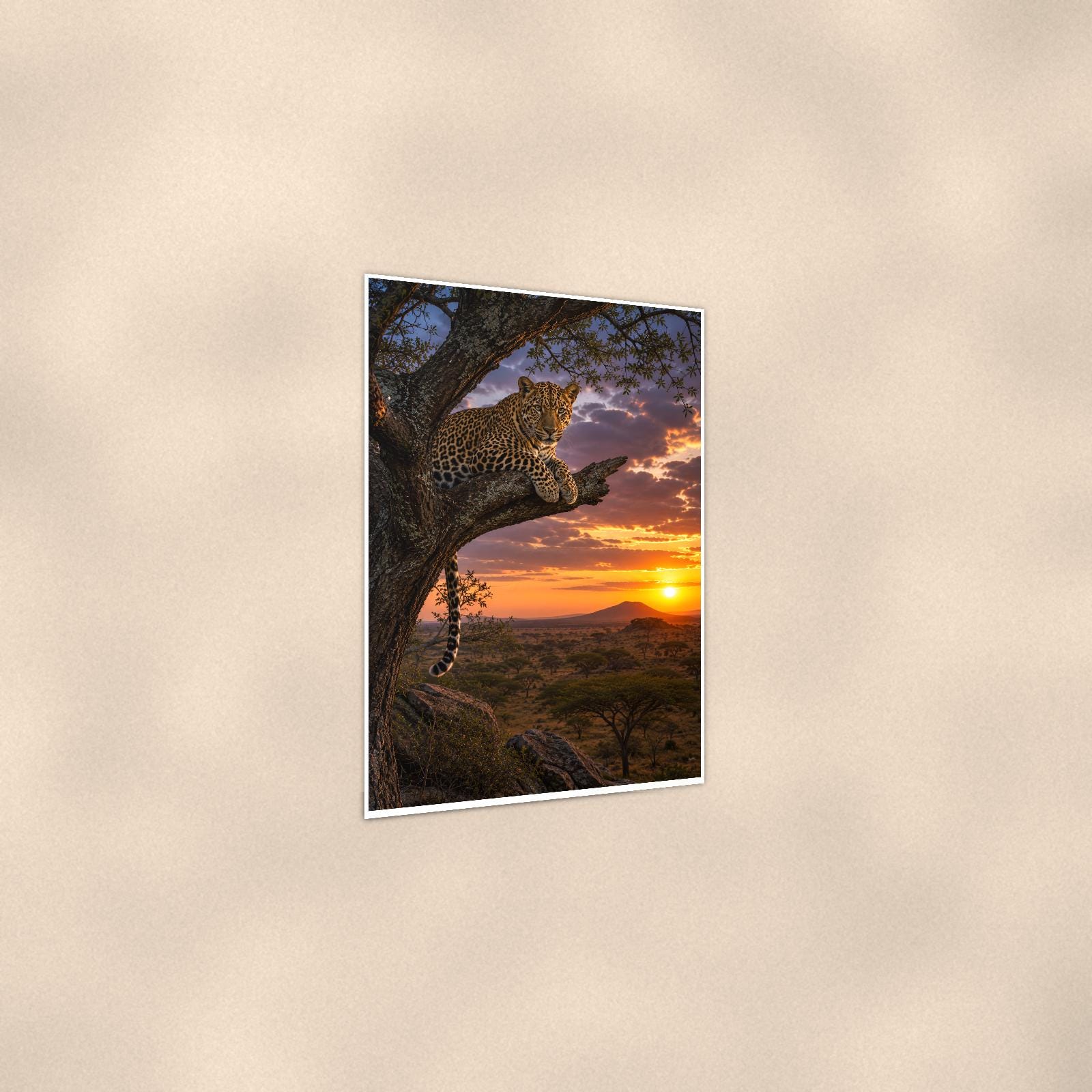 Leopard Tree Sunset — 24x36 in art print poster, premium luster paper with a white border; gentle three-quarter angle on a warm wall, showing the flat paper edge.