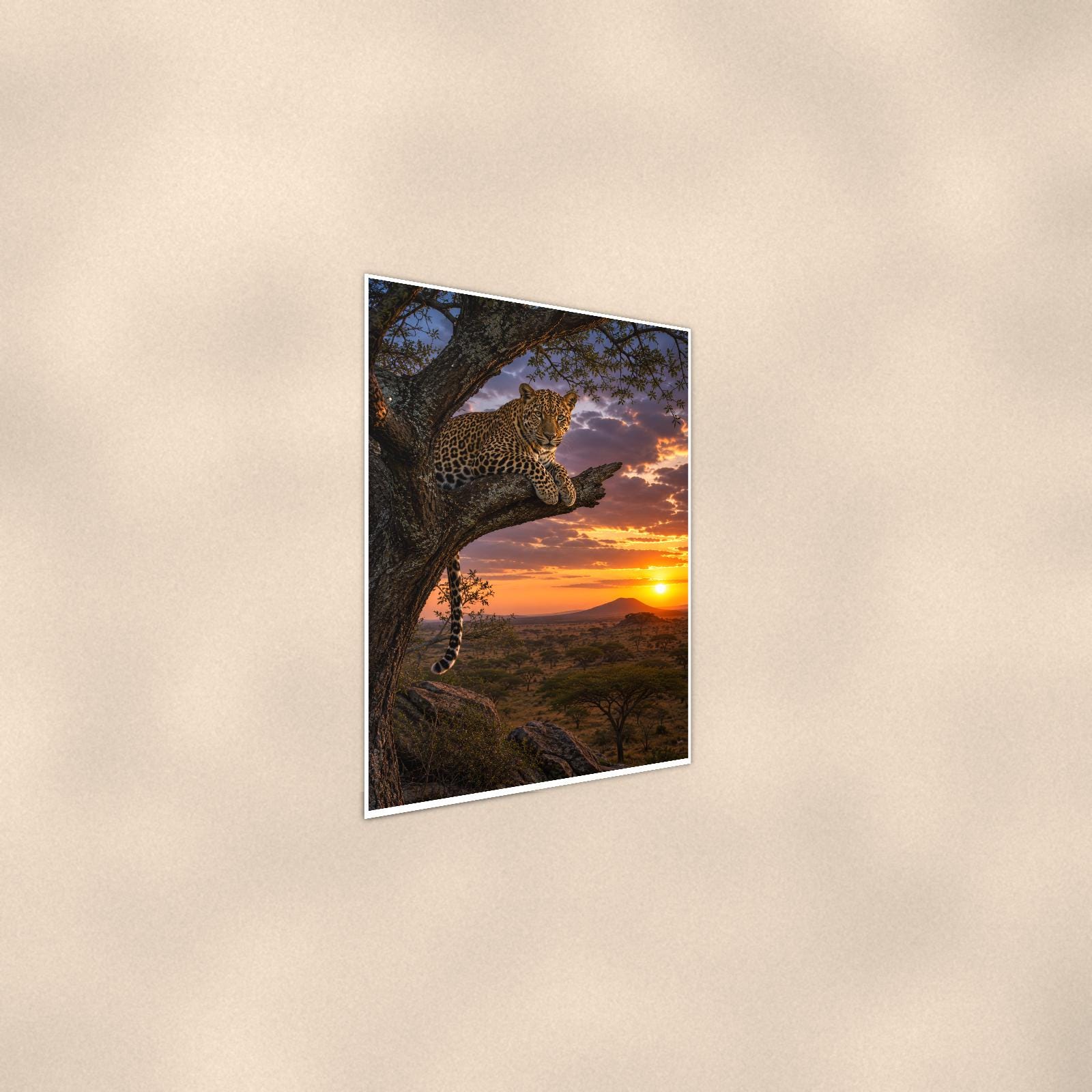 Leopard Tree Sunset — 24x36 in art print poster, premium luster paper with a white border; steeper three-quarter angle on a warm wall, catching the luster sheen.