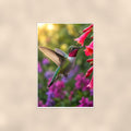 Hummingbird Red Blooms — 24x36 in art print poster, premium luster paper with a white border; poster shown straight on against a warm wall.