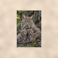 Bobcat Cubs — 24x36 in art print poster, premium luster paper with a white border; poster shown straight on against a warm wall.