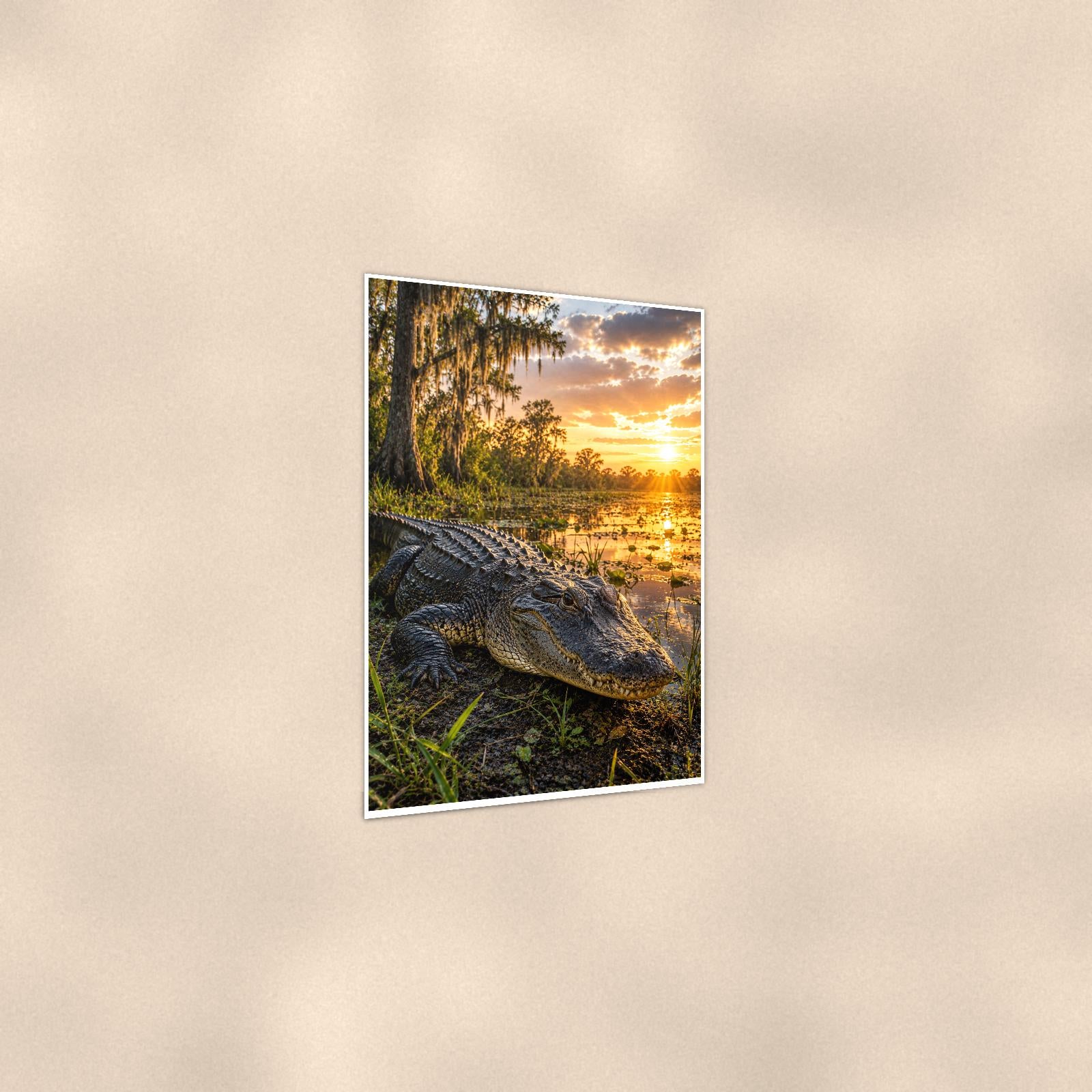 Swamp Gator Sunset — 24x36 in art print poster, premium luster paper with a white border; gentle three-quarter angle on a warm wall, showing the flat paper edge.