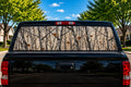 Winter Birch and Birds perforated rear-window decal installed on a pickup truck back glass