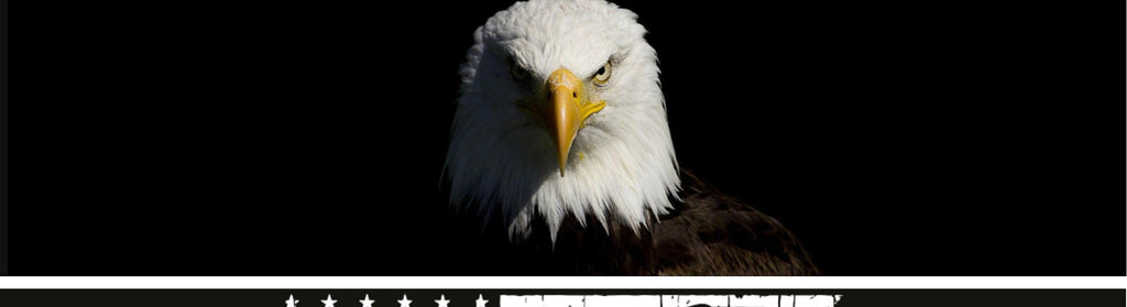 Eagle Head on Black — Truck Rear Window Decal, 68 x 18.5 in Perforated Vinyl, See-Through Graphic, Fits Most Full-Size Pickups